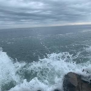 Meet your Posher, Steven